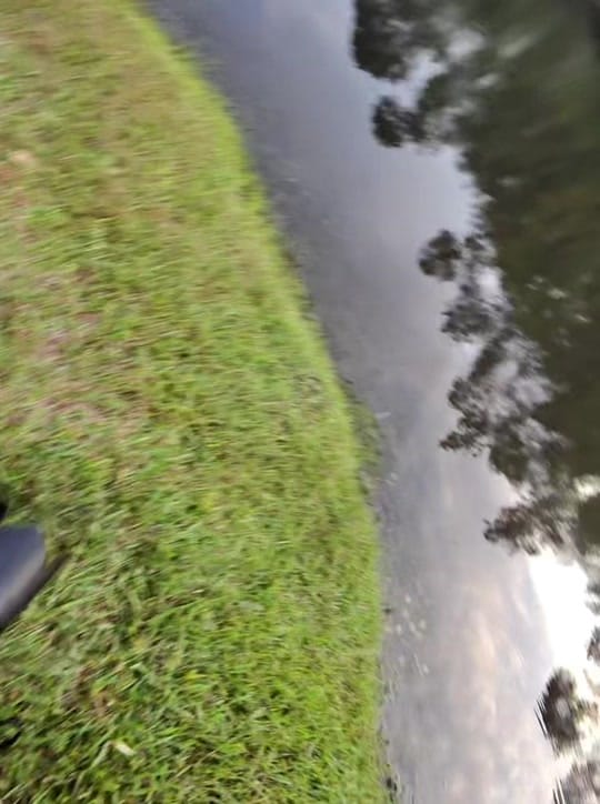 Post 2 by Lindsi Jones on TikTok (video)