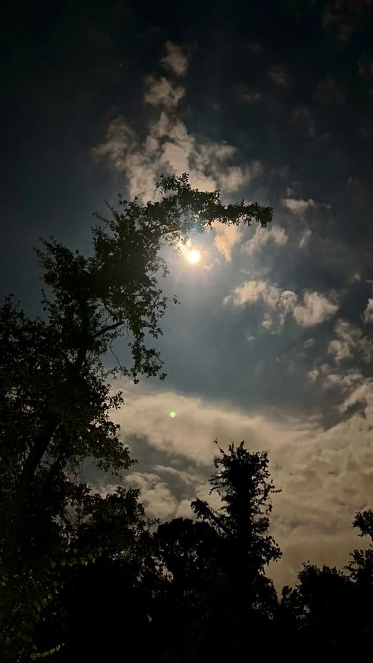 Post 5 by Lindsi Jones on TikTok (video)