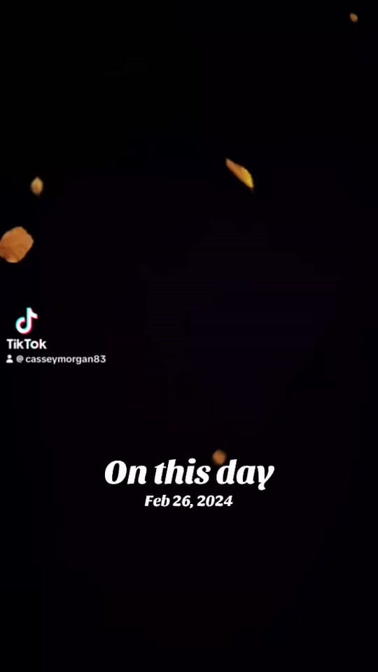 Post 5 by Cassey Morgan on TikTok (video)