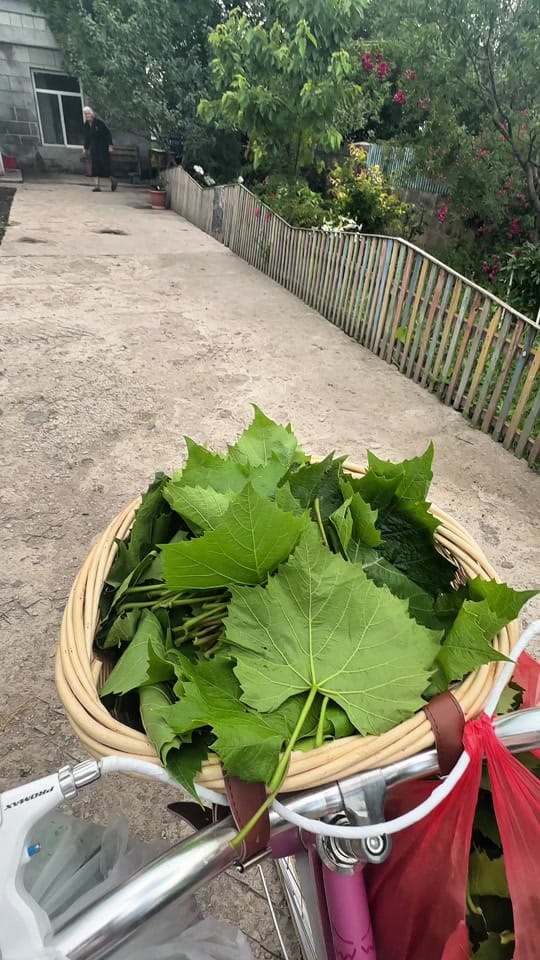 Post 9 by Arphi_Gabrielyan_ph on TikTok (video)