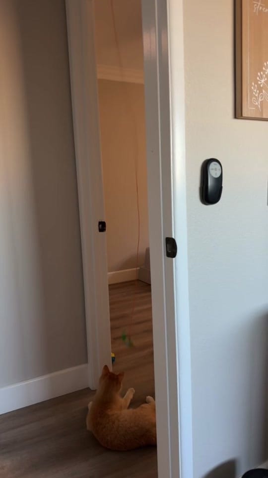 Post 10 by Cassandra McKenney on TikTok (video)