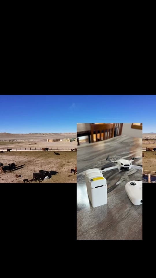 Post 7 by Rowdy Gorden on TikTok (video)