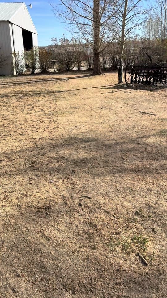 Post 2 by Rowdy Gorden on TikTok (video)