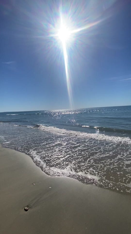 Post 7 by Fitnessbymichelle on TikTok (video)