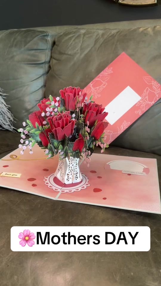 Post 6 by Kara Houston on TikTok (video)