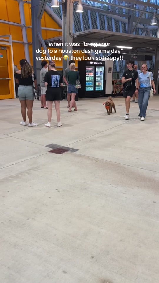 Post 2 by amanda 🤍 on TikTok (video)