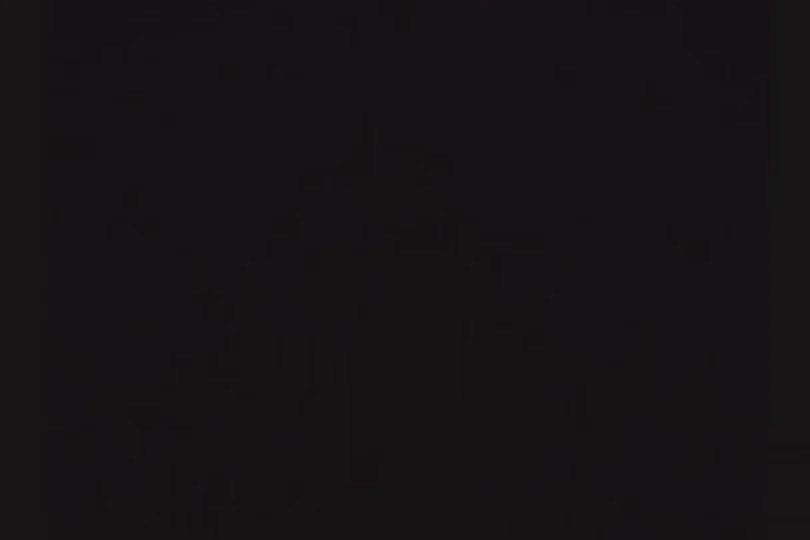Post 7 by Avian Stalker on TikTok (video)