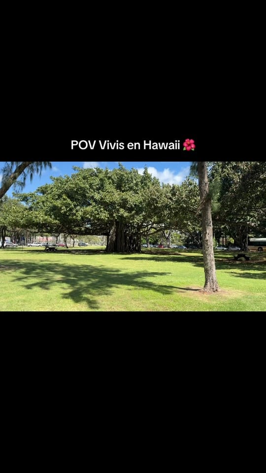 Post 1 by yosoy.cristina on TikTok (video)