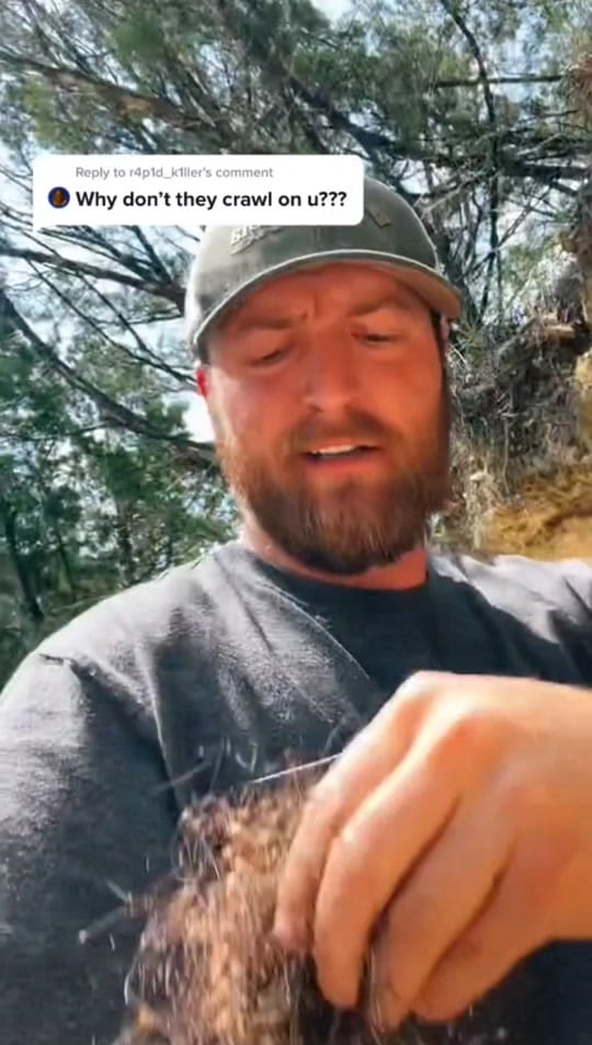 Post 10 by Adammarkk | Comedy Skits on TikTok (video)