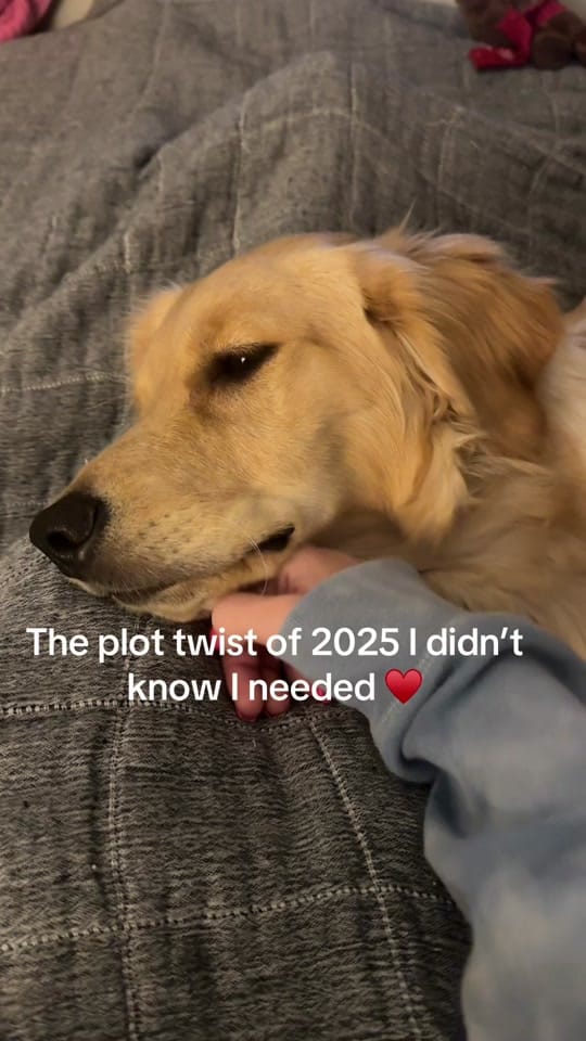Post 7 by ForeverJoyPhotography on TikTok (video)