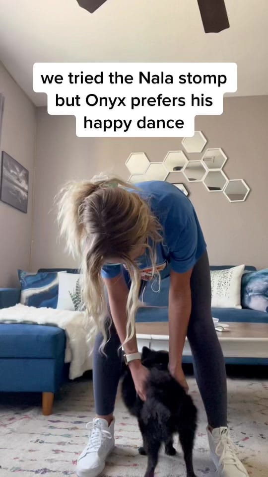 Post 9 by Jacks on TikTok (video)
