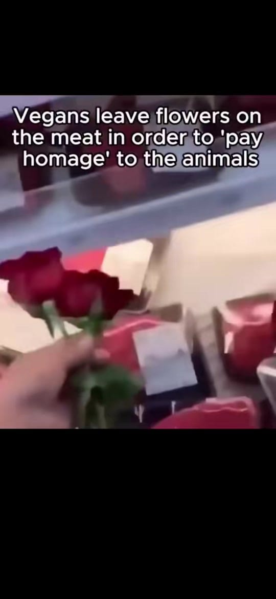 Post 5 by Arkade on TikTok (video)