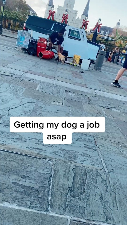 Post 6 by Andrius on TikTok (video)