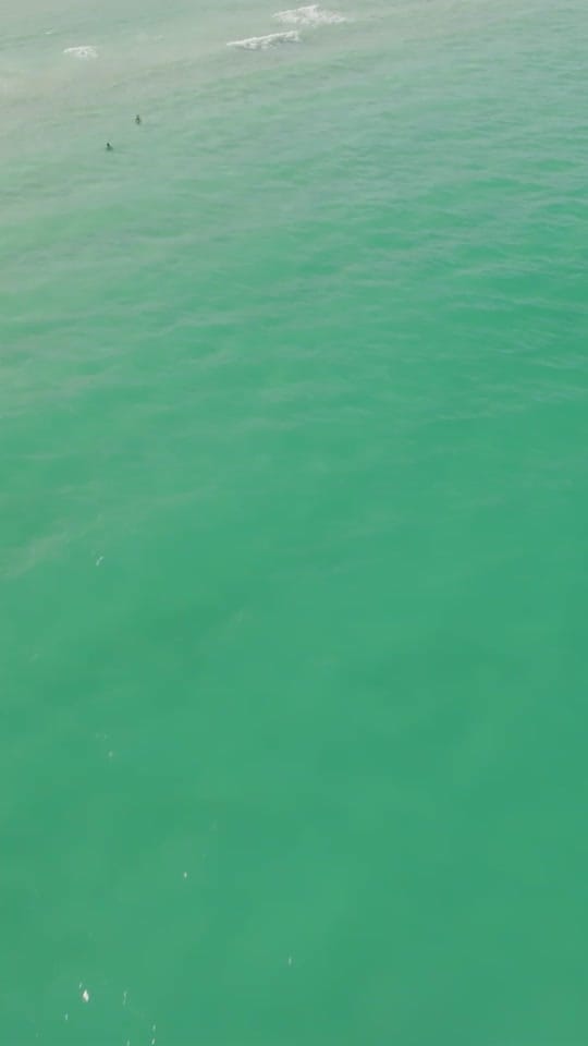 Post 5 by Visit Miami on TikTok (video)