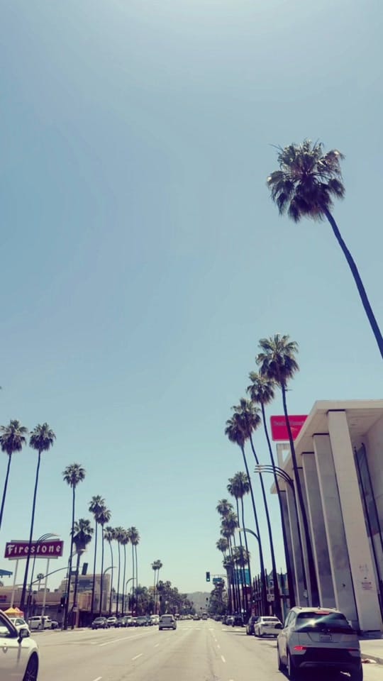 Post 5 by Lupe 🇲🇽 on TikTok (video)