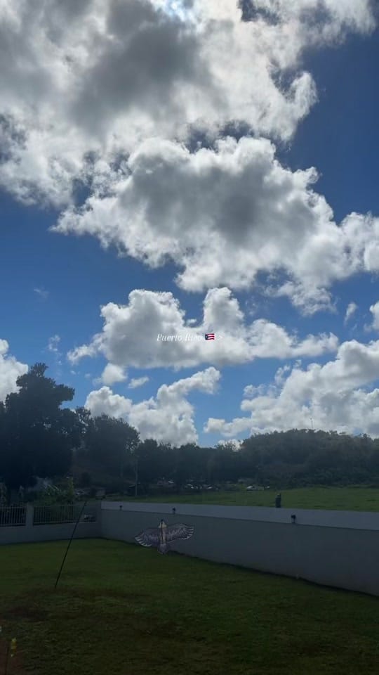 Post 6 by Lupe 🇲🇽 on TikTok (video)