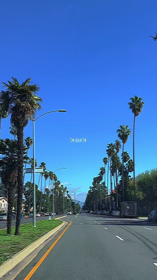 Post 9 by Lupe 🇲🇽 on TikTok (video)