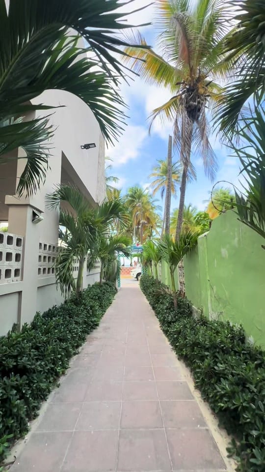 Post 3 by Lupe 🇲🇽 on TikTok (video)