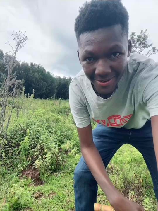 Post 1 by Salman Metobo on TikTok (video)