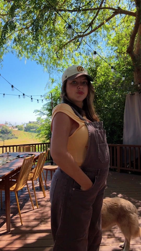 Post 4 by Lauren on TikTok (video)