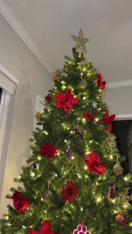 Post 2 by Gabriela Amaya on TikTok (video)