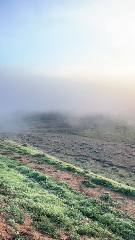 Post 9 by Mullenax Ranch 🌱🌱🌱 on TikTok (video)