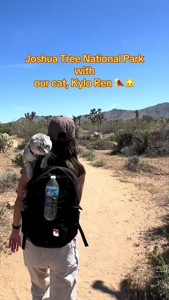 Post 2 by Madison | Travel✈️ on TikTok (video)