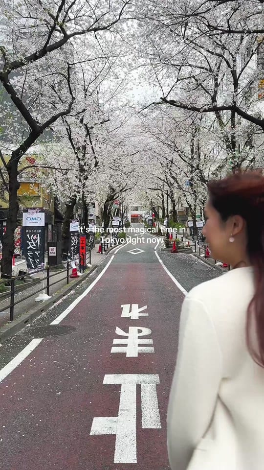 Post 5 by Vania • Solo Travel on TikTok (video)