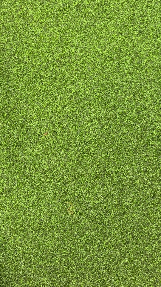 Post 7 by Ricky Bumgardner Jr on TikTok (video)