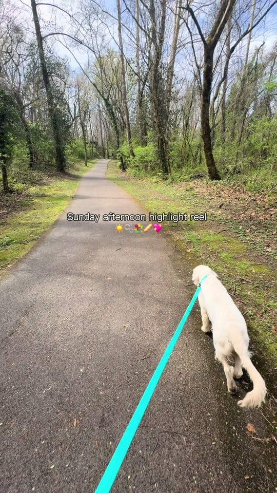 Post 8 by Jaelyn Spears on TikTok (video)