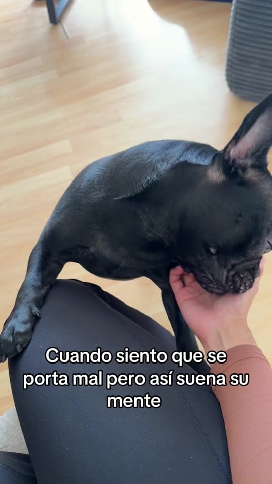 Post 5 by gabriela garreau 🧸 on TikTok (video)