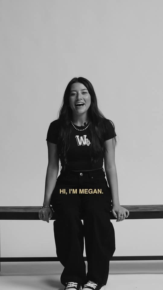 Post 9 by Megan Hana Lee on TikTok (video)