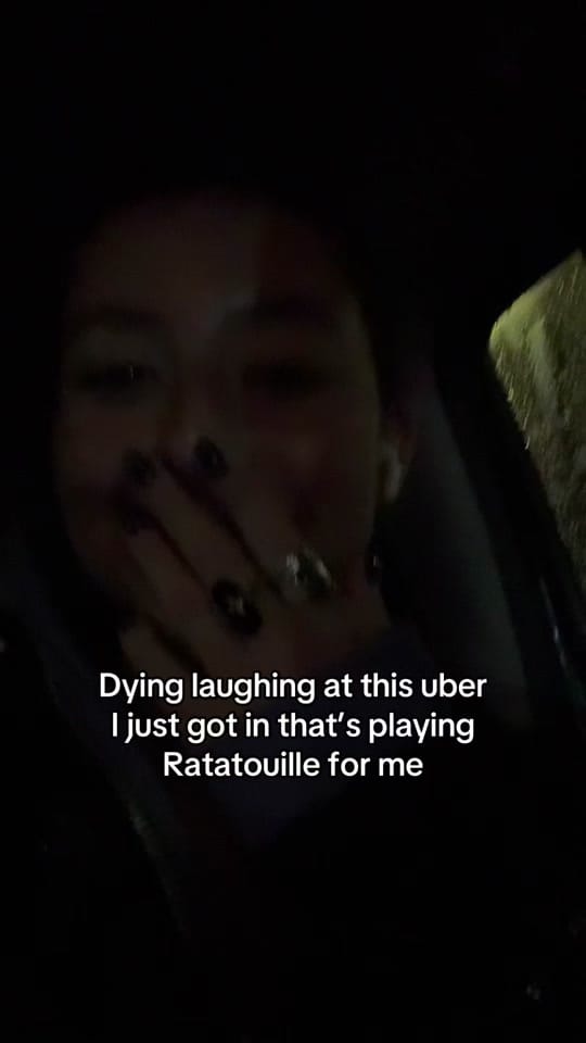 Post 5 by Megan Hana Lee on TikTok (video)
