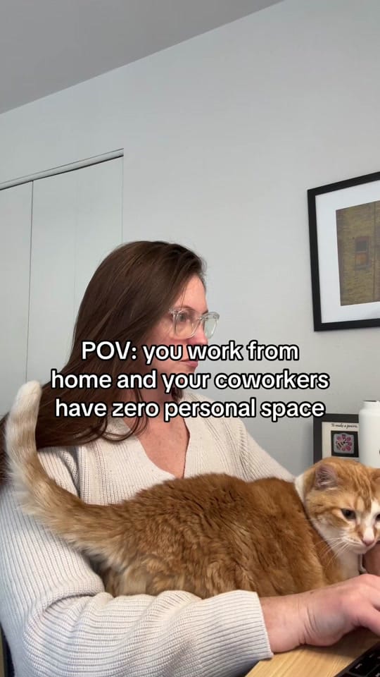 Post 9 by aimee.k.roy on TikTok (video)
