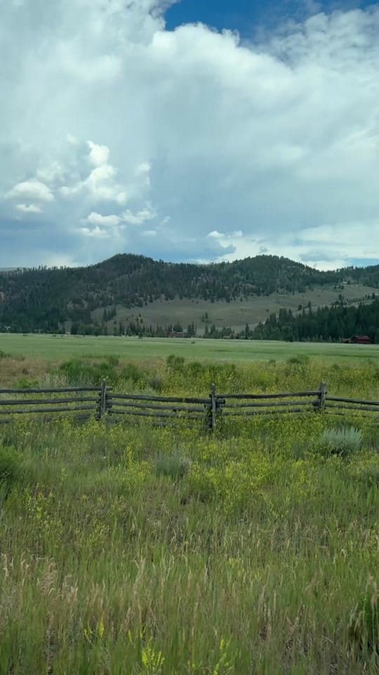 Post 1 by aimee.k.roy on TikTok (video)