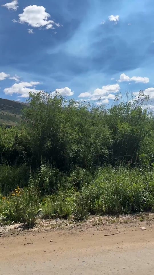 Post 7 by aimee.k.roy on TikTok (video)