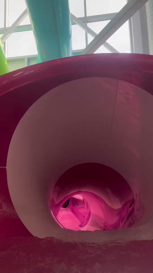 Post 8 by Michele on TikTok (video)