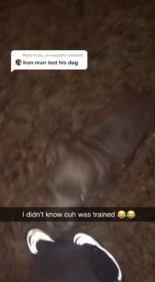 Post 9 by Trilligy on TikTok (video)