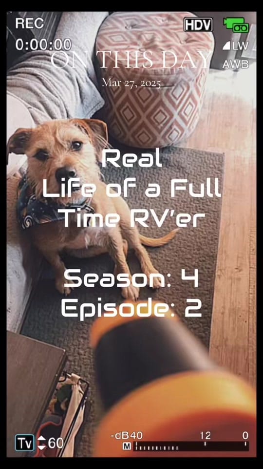Post 2 by Dominic on TikTok (video)