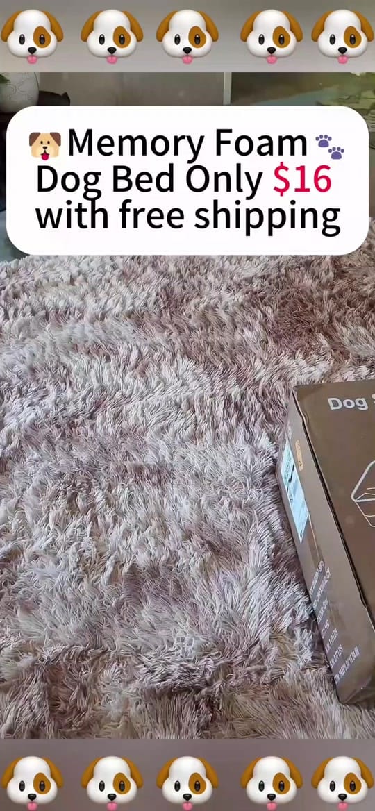 Post 5 by BUTLER CLEANING SERVICELLC 1 on TikTok (video)