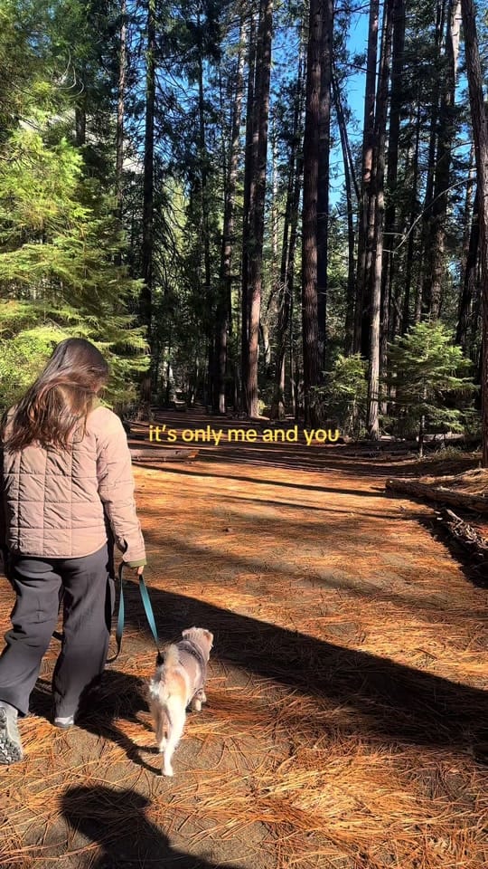 Post 1 by Finn 🐾 on TikTok (video)