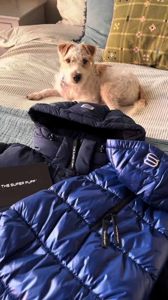 Post 9 by Finn 🐾 on TikTok (video)