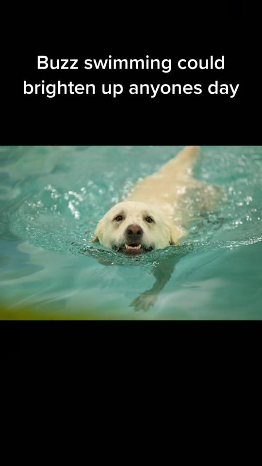 Post 7 by K Schulz Photography on TikTok (video)
