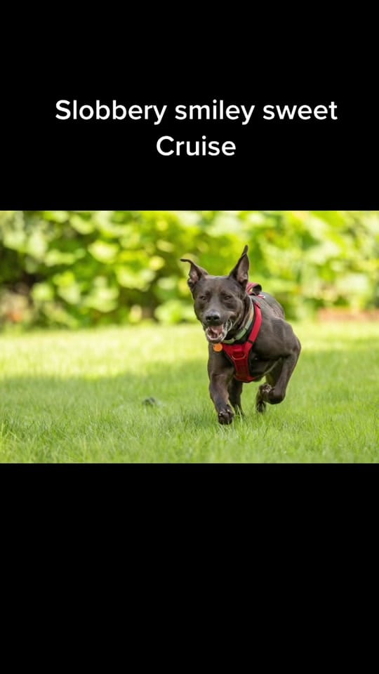 Post 6 by K Schulz Photography on TikTok (video)