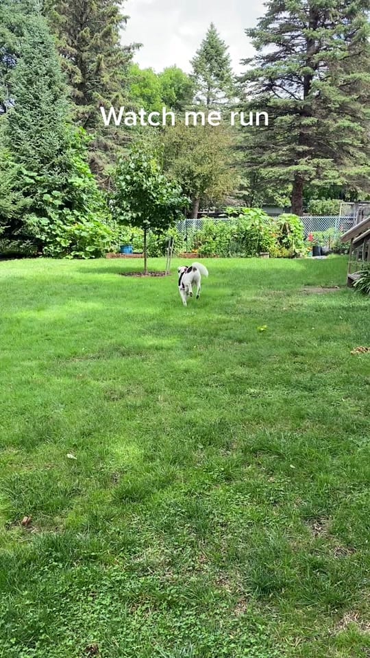 Post 4 by K Schulz Photography on TikTok (video)