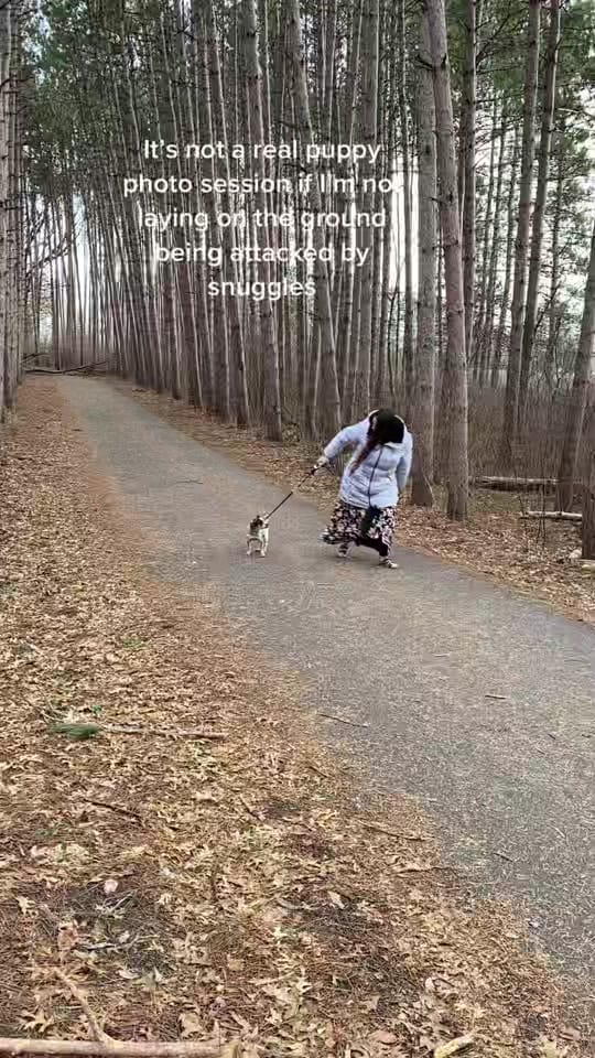 Post 8 by K Schulz Photography on TikTok (video)
