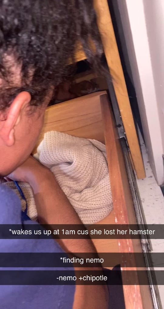Post 9 by Alexa Karmyn on TikTok (video)