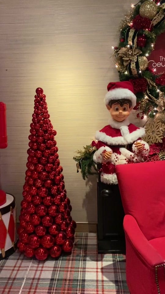 Post 6 by The Palm Family on TikTok (video)