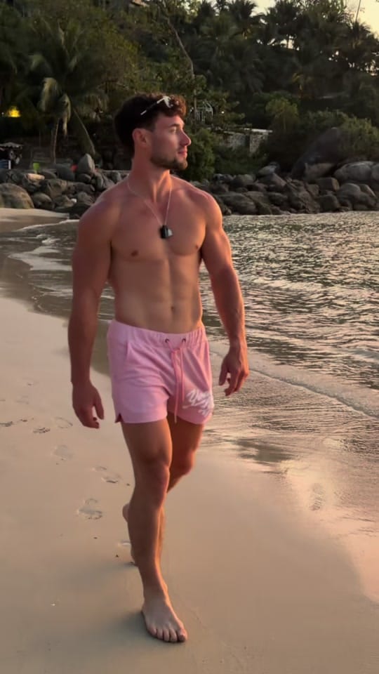 Post 9 by josh.vasconcelos on TikTok (video)