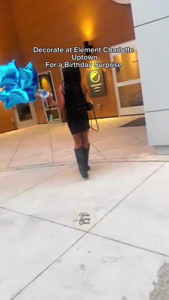 Post 4 by toshaluxurydecor on TikTok (video)